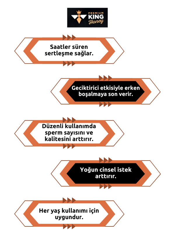 Premium King Honey  Bitkisel Karışımlı Macun 12 Adet